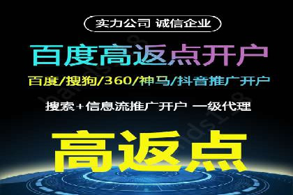 大型SEM服务公司案例分析